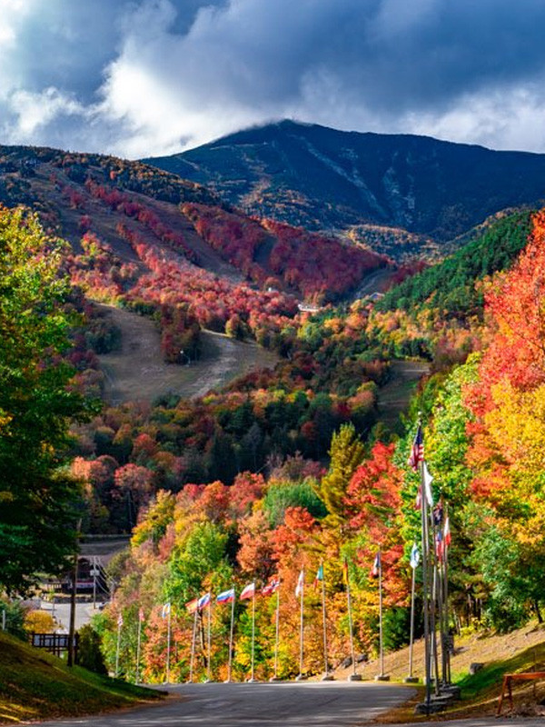 scenic view of autumn trees on sloping mountains