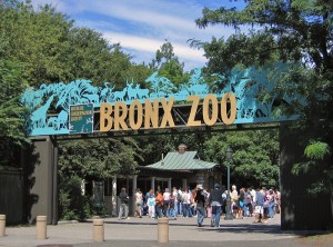 Bronx Zoo - July 10, 2024